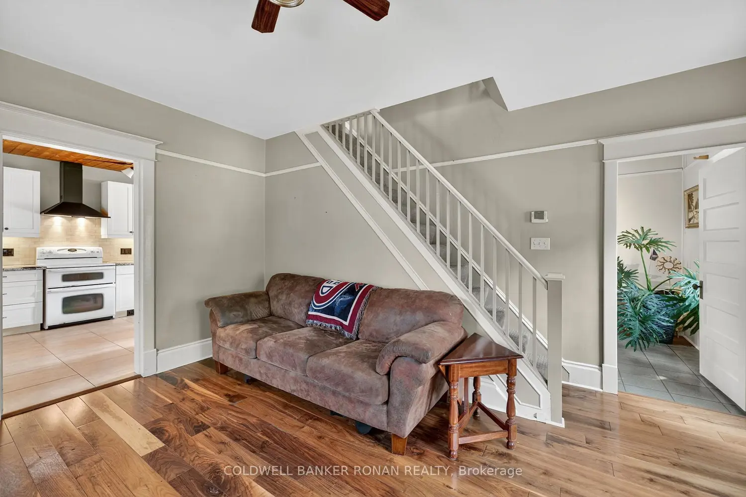 12 Nelson Street photo 5