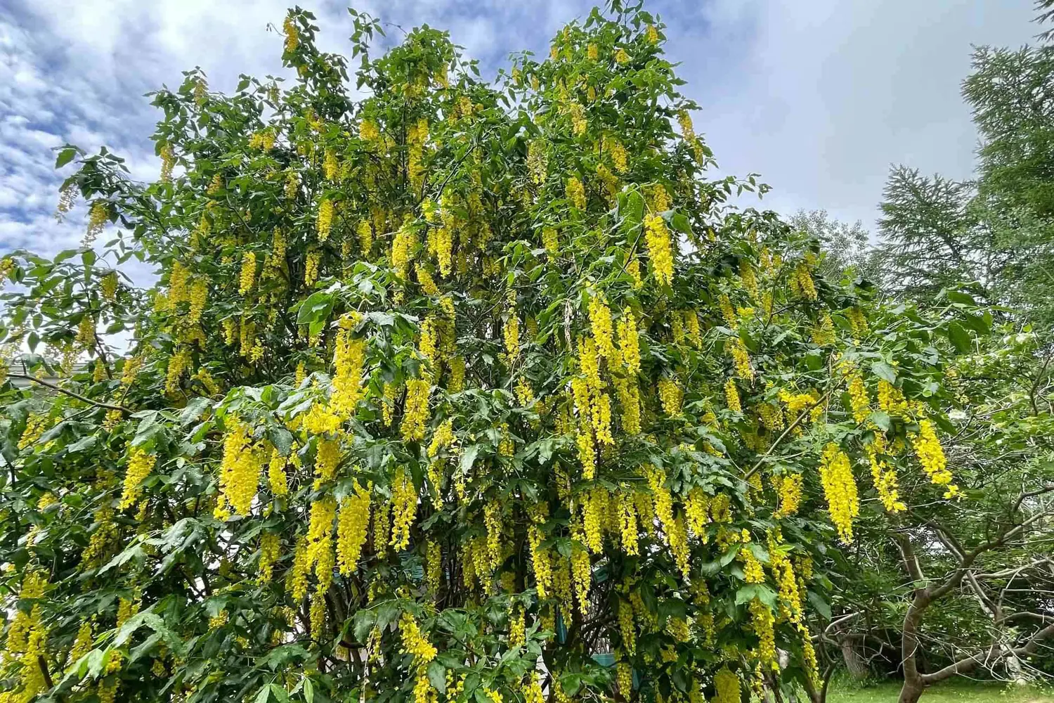 Additional image 20 of 26 Main Road