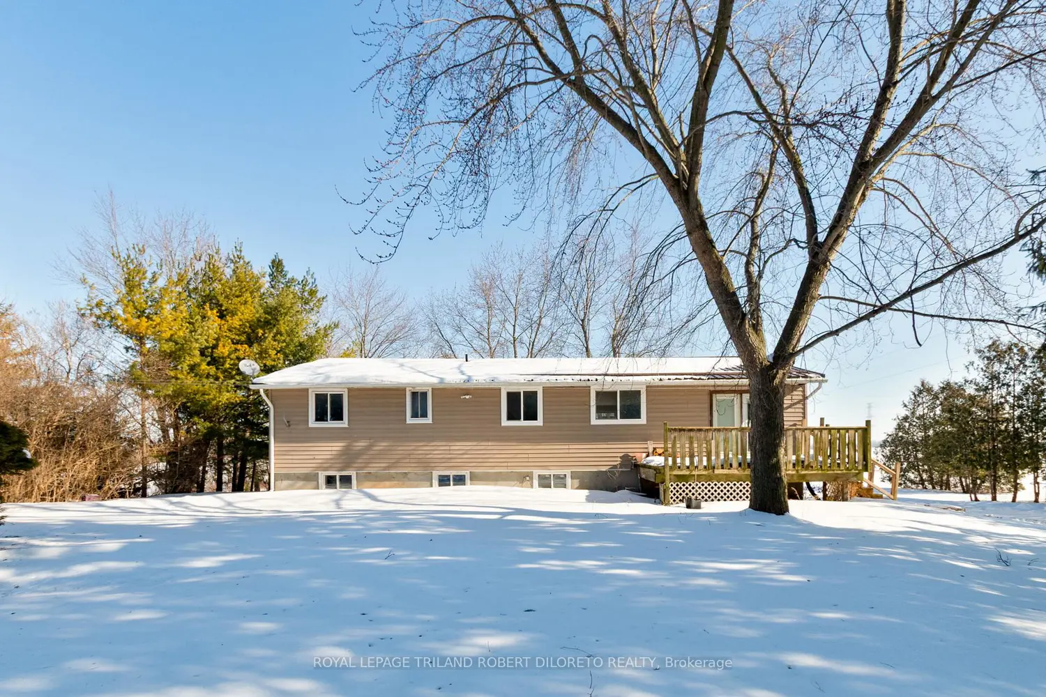 Additional image 5 of 21477 Springfield Road