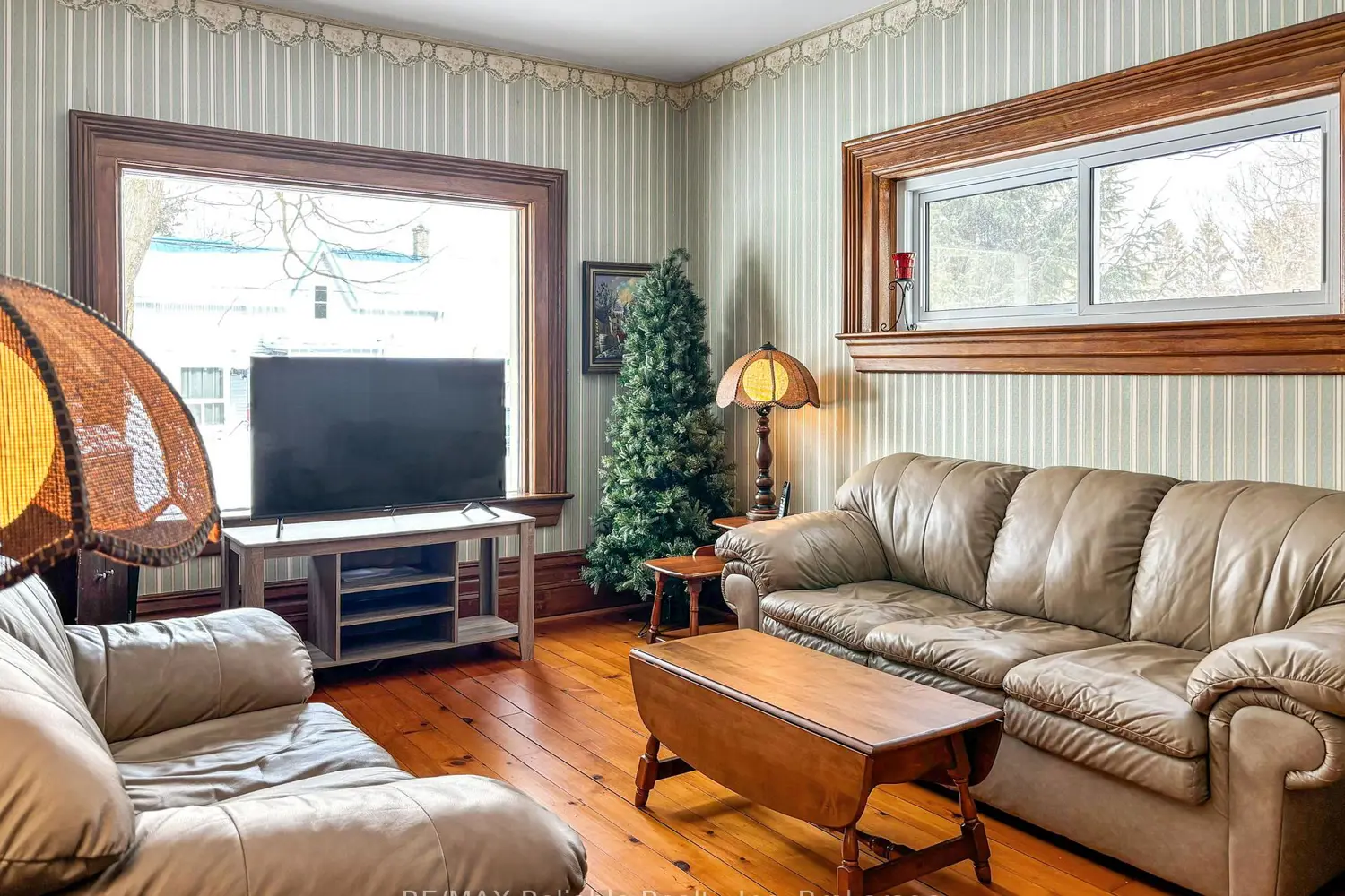 Additional image 5 of 293 Drummond Street