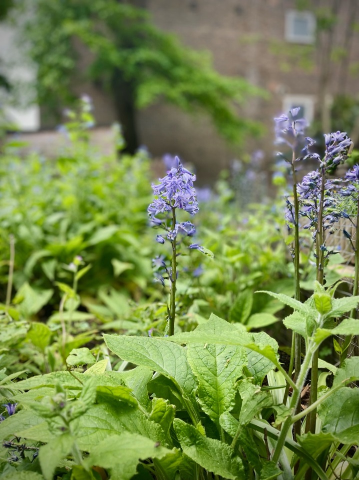 Additional image 8 of 2 Bed Flat, Westbourne Park Road, W11, N1 7GU