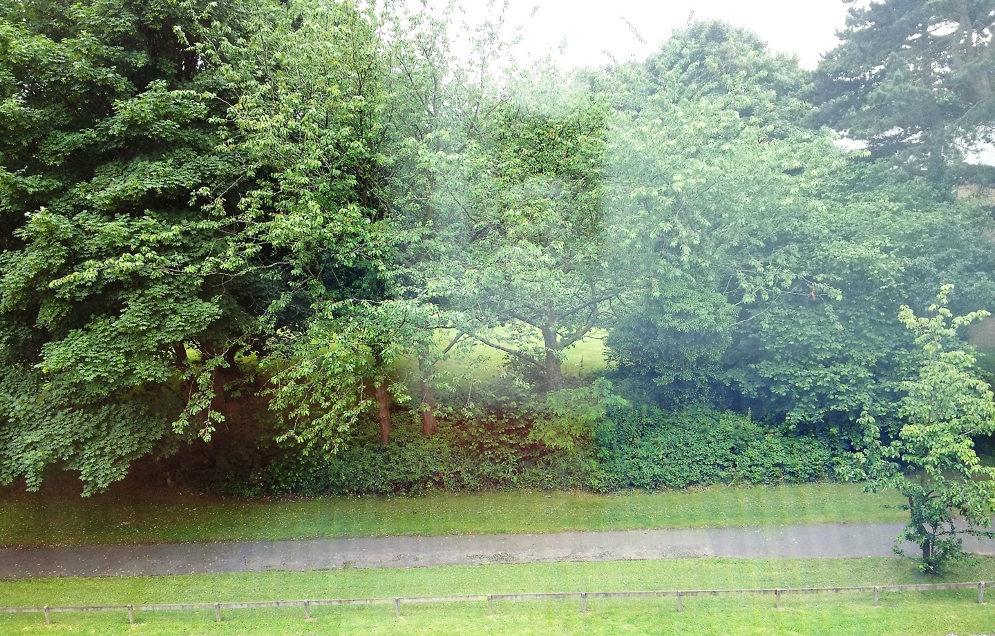 Additional image 8 of Room in a Shared House, College Walk, B29, N1 7GU