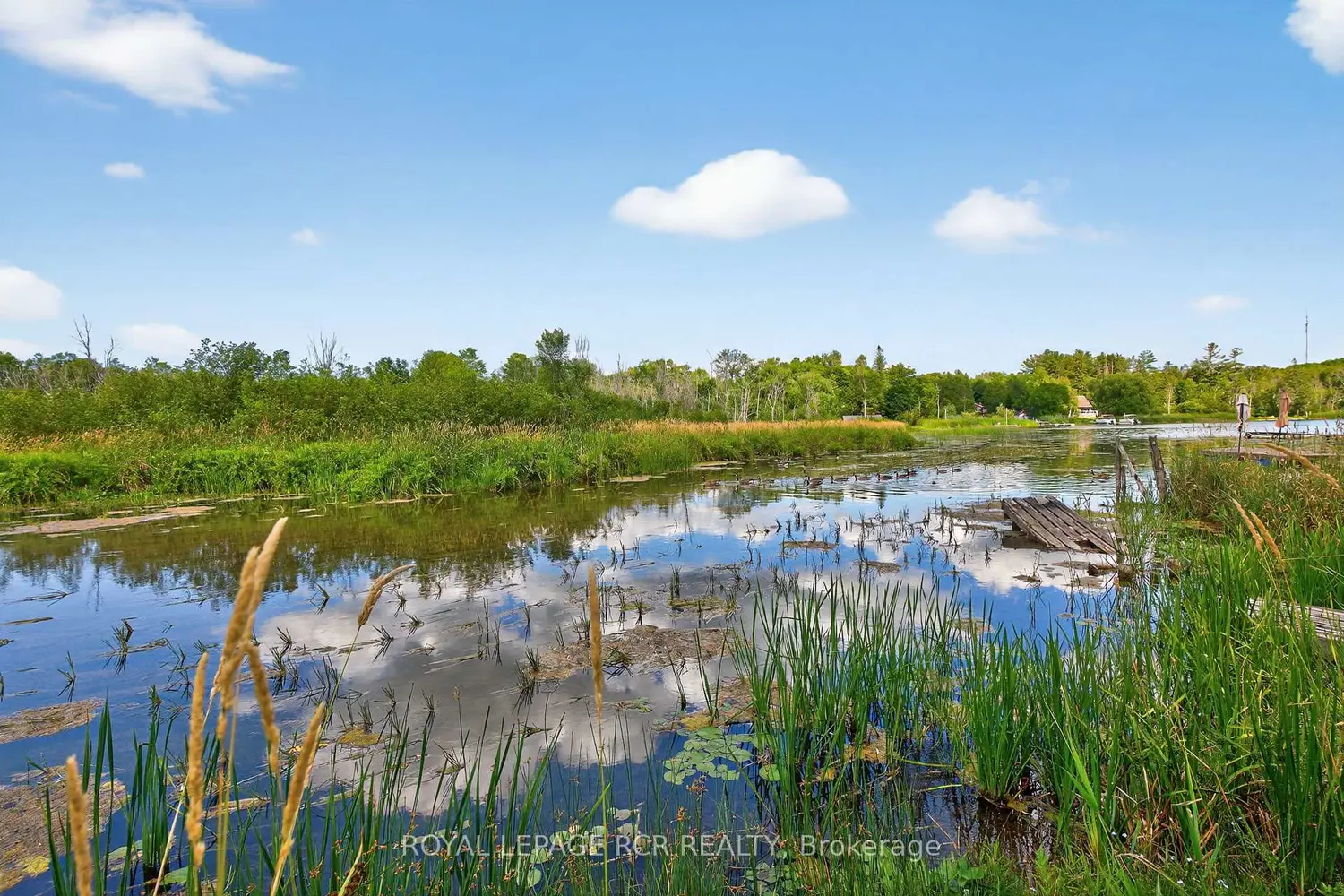 Additional image 2 of 8 Mustard Street