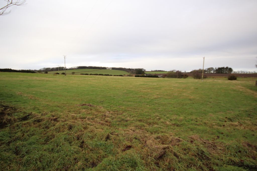 Land for saleSite Adjacent To Sunnyvale, Clola AB42