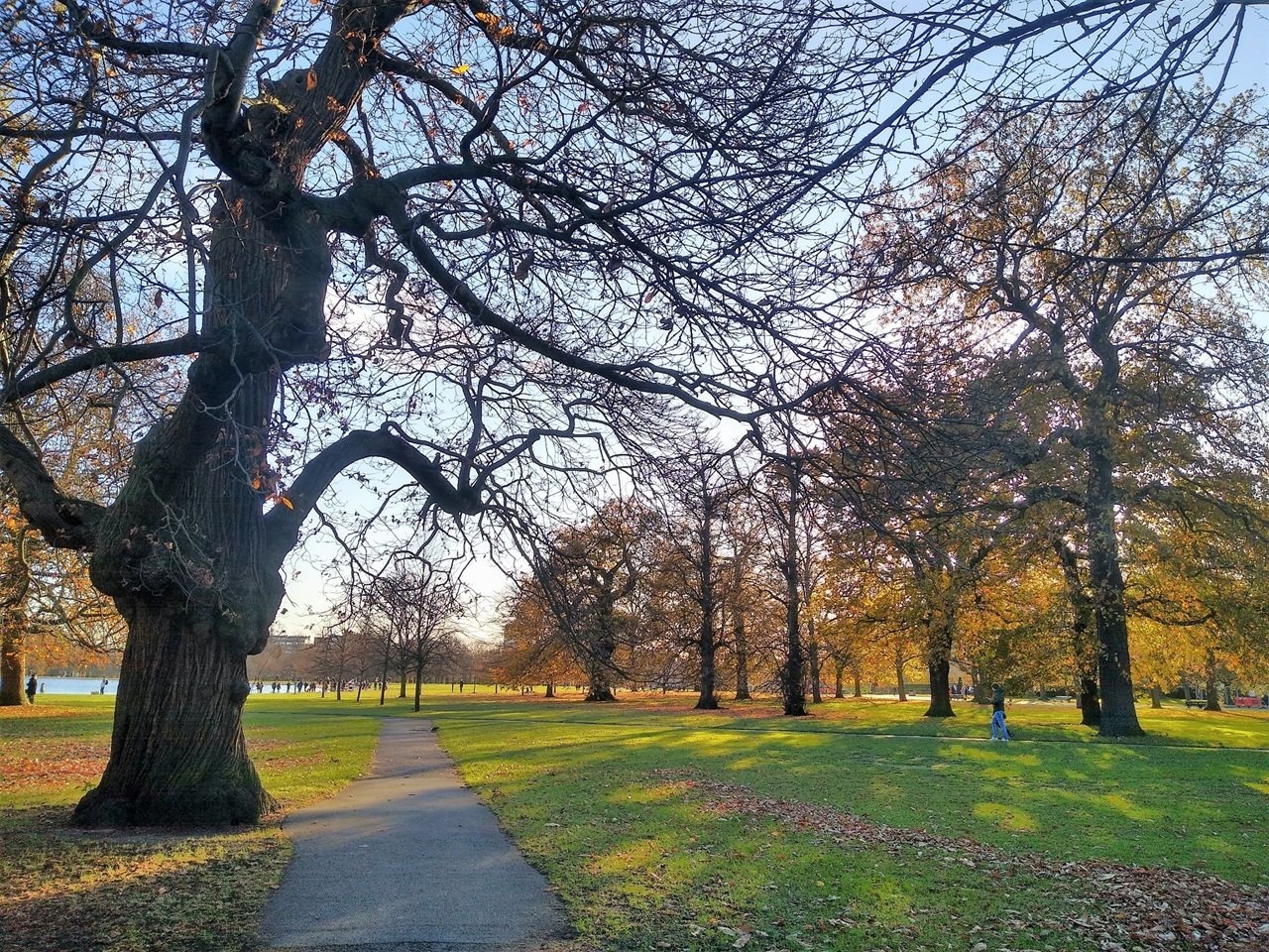Additional image 13 of Studio Flat, Clanricarde Gardens, W2, N1 7GU