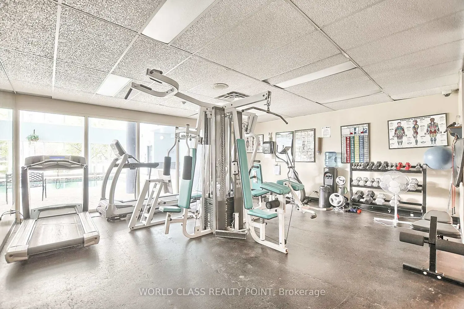 Additional image 14 of 75 Ellen Street 207