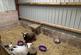 Additional image 20 of Broadwath, Brampton, Carlisle, Cumbria, Heads Nook CA8