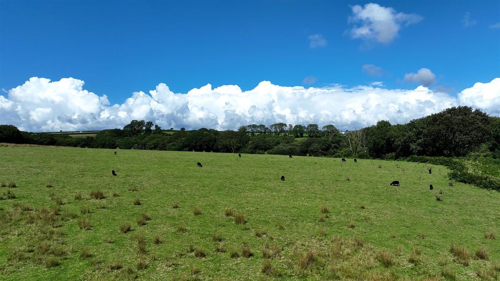 Additional image 4 of Land for salePengwern Common, Gower SA2