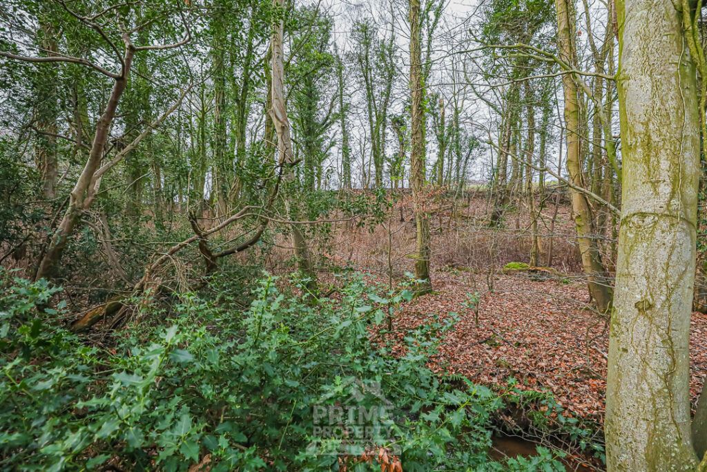 Additional image 6 of Land for salePlot B6, Castle Estate, Coylton, Ayr KA6