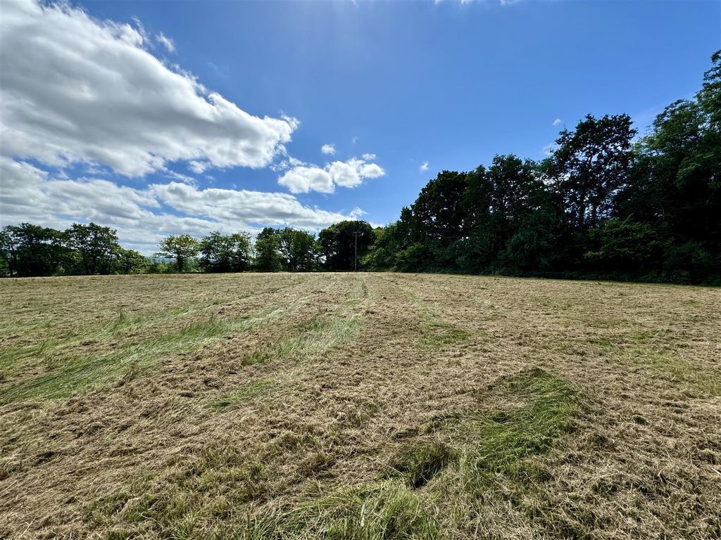 Land for saleSalem, Llandeilo SA19 photo 5