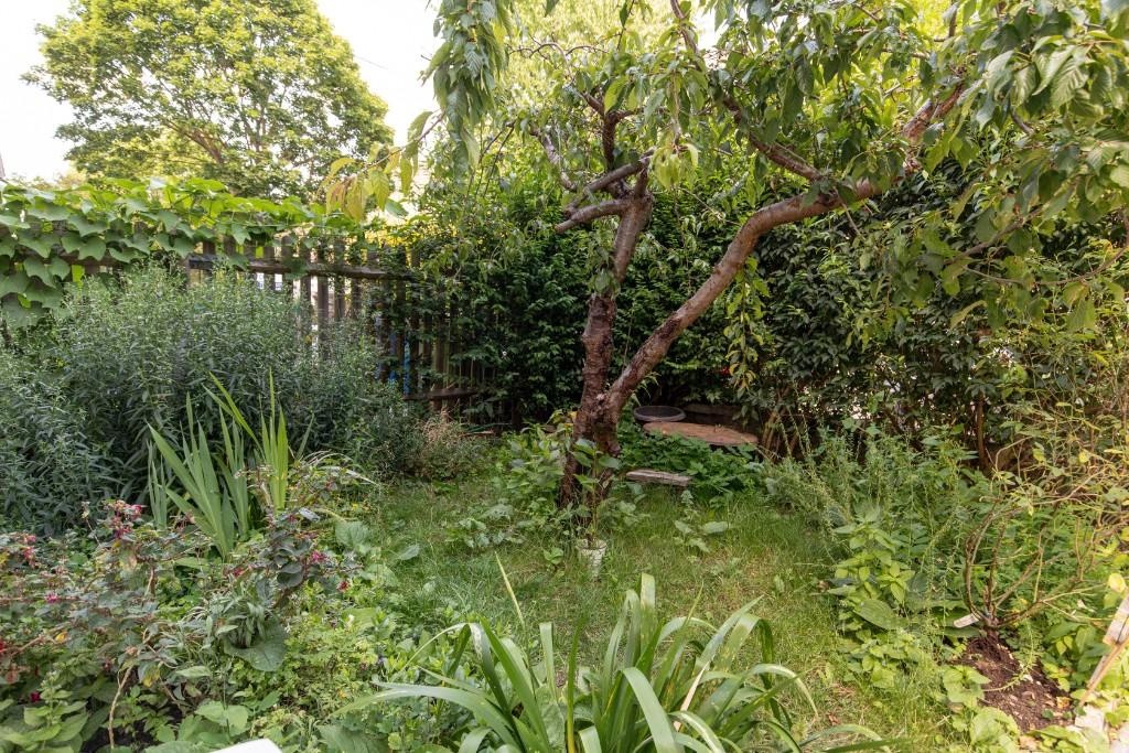 Additional image 13 of Room in a Shared Flat, Talfourd Road, SE15, N1 7GU