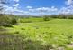 Additional image 20 of Near Llanrothal , Monmouth NP25