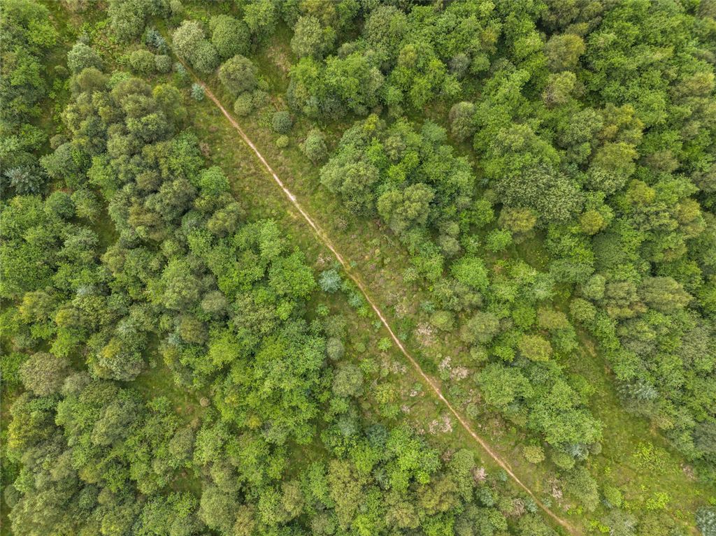 Additional image 6 of Land for saleBorland Wood, Gartmore, Stirling, Stirlingshire FK8
