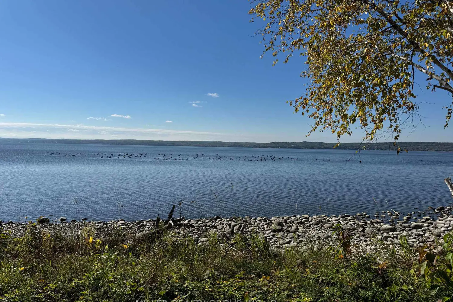 Additional image 15 of 692 Dawson Point Road