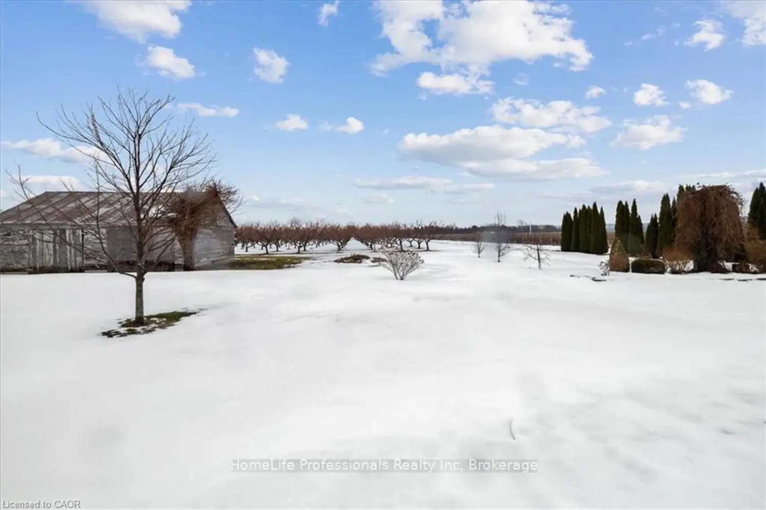 Additional image 20 of 745 Concession 2 Road