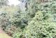 Additional image 30 of Woodland View, Duporth, St. Austell