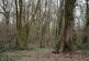 Additional image 6 of Callow, Hereford HR2