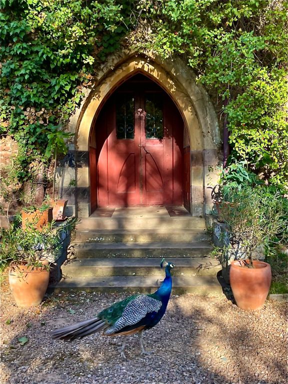 Additional image 20 of 8 bed detached house for saleBishops Court Lane, Clyst St. Mary, Exeter, Devon EX5