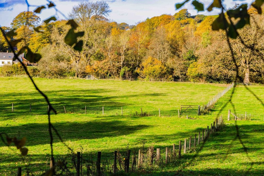 Additional image 58 of 4 bed farm for saleAbergwesyn Road, Tregaron SY25