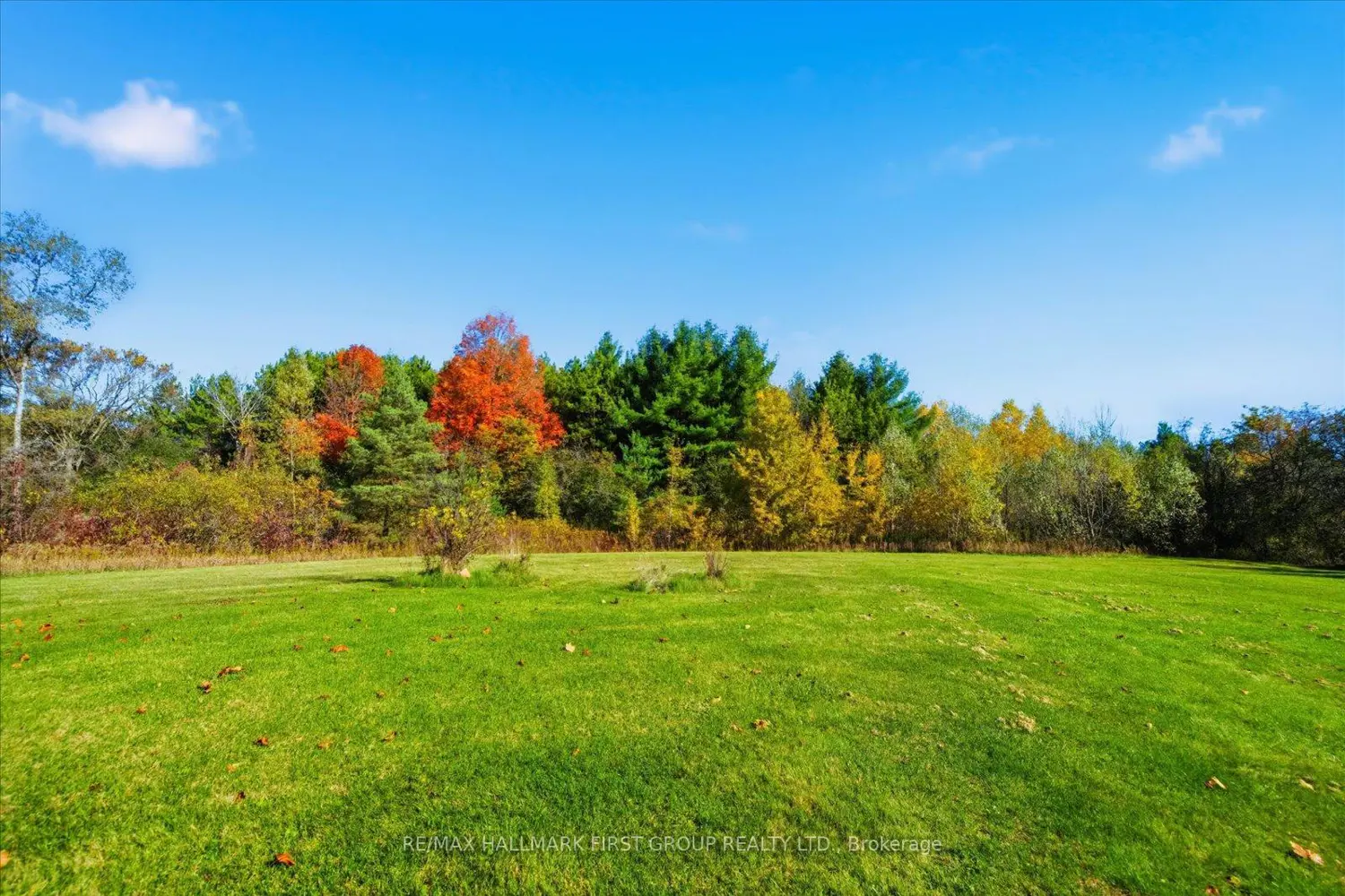 Additional image 19 of 4655 Sideline 6