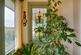 Additional image 12 of Caynham, Ludlow, SY8