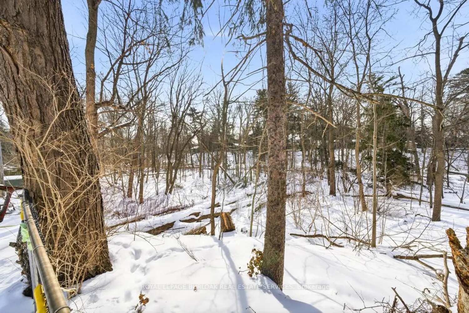 Additional image 12 of 272 Goodram Drive