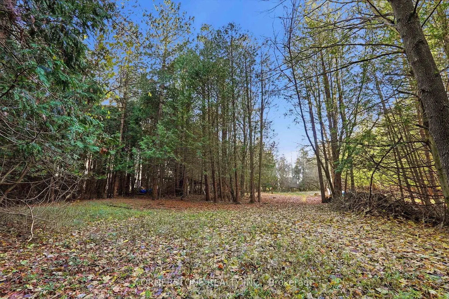 Additional image 9 of 86315 Kingsbridge Line