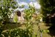 Additional image 31 of Three Tuns Road, Eastwood, Nottingham, NG16