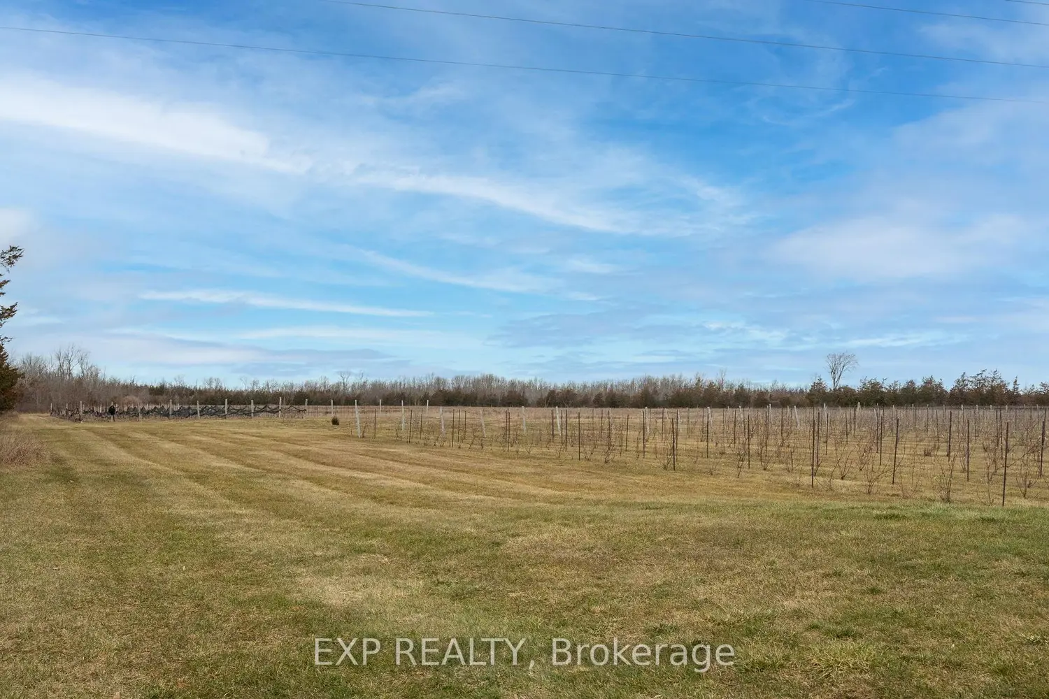 Additional image 15 of 3589 County Road 8