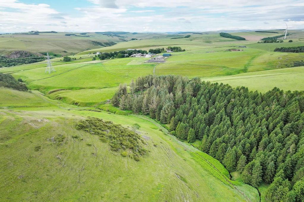 Additional image 7 of Land for salePlot 4, Hartside Wood, Lauder, Scottish Borders TD26Pu TD2