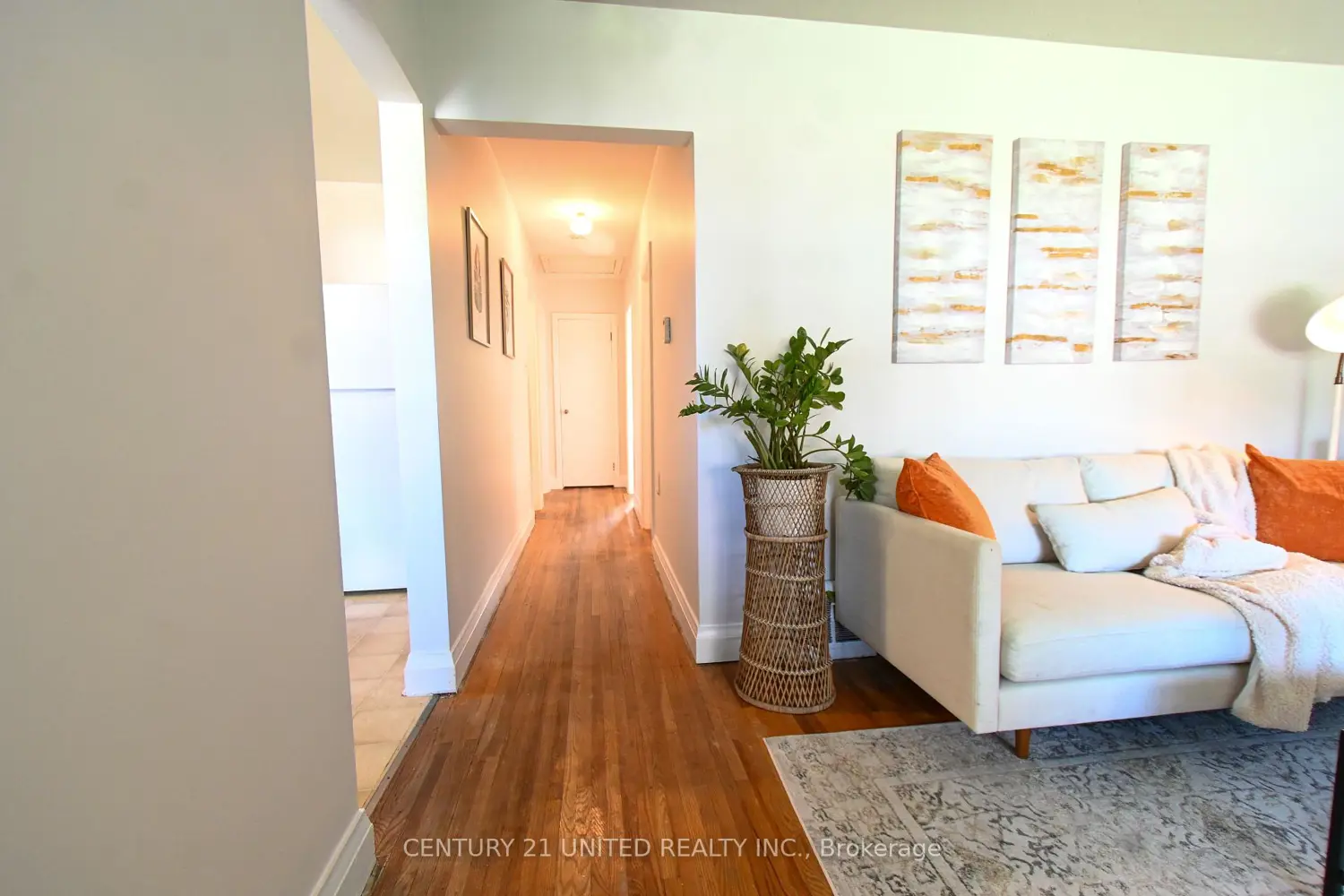 Additional image 4 of 567 O'connell Road