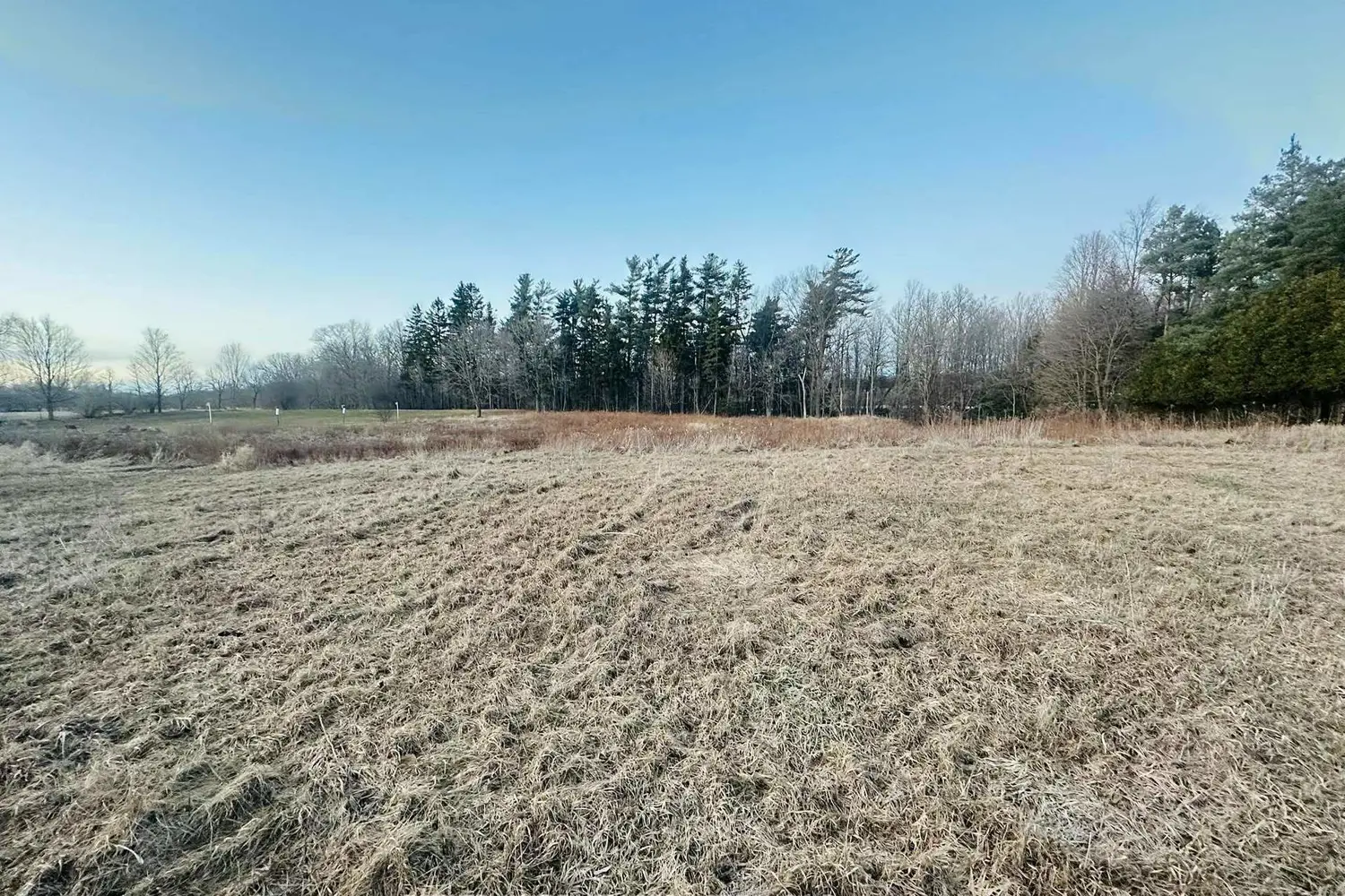 Additional image 3 of 10231 Old Pinecrest Road