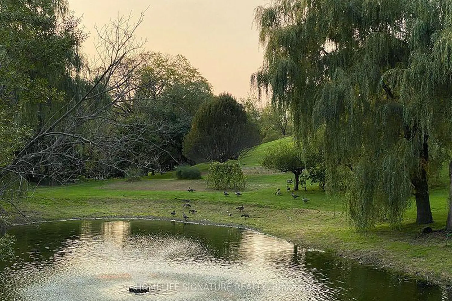 Additional image 20 of 28 Walton Drive