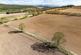 Additional image 6 of LAND AT NORD VUE FARM, ARMATHWAITE, CARLISLE, CA4 9TN  , Armathwaite CA4