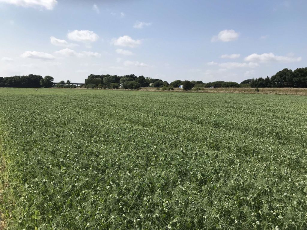 Additional image 2 of Land for saleMill Lane, Gilberdyke, Brough HU15