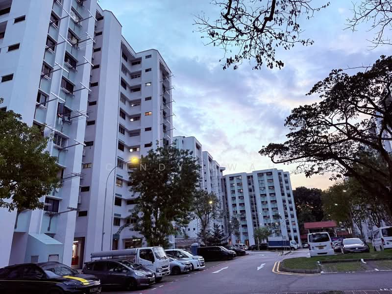 Additional image 9 of 234 Jurong East Street 21