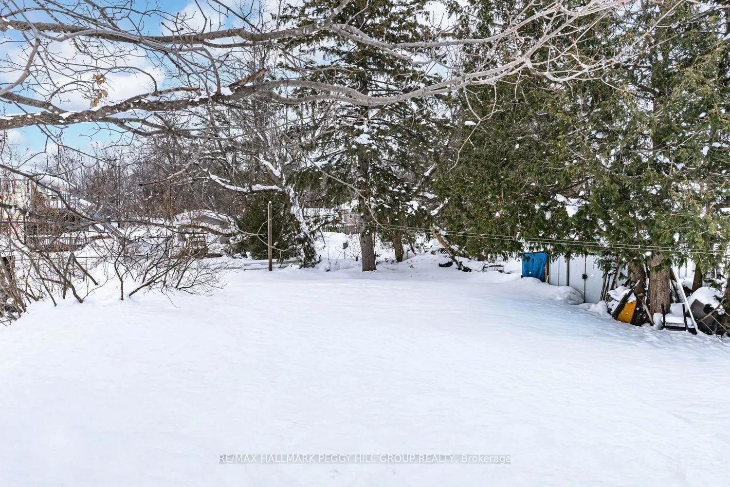 Additional image 14 of 1237 15 Line