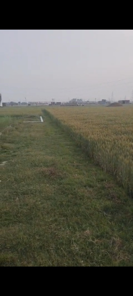 Additional image 3 of Ramnagar, Varanasi