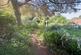Additional image 23 of Wellswood, Torquay
