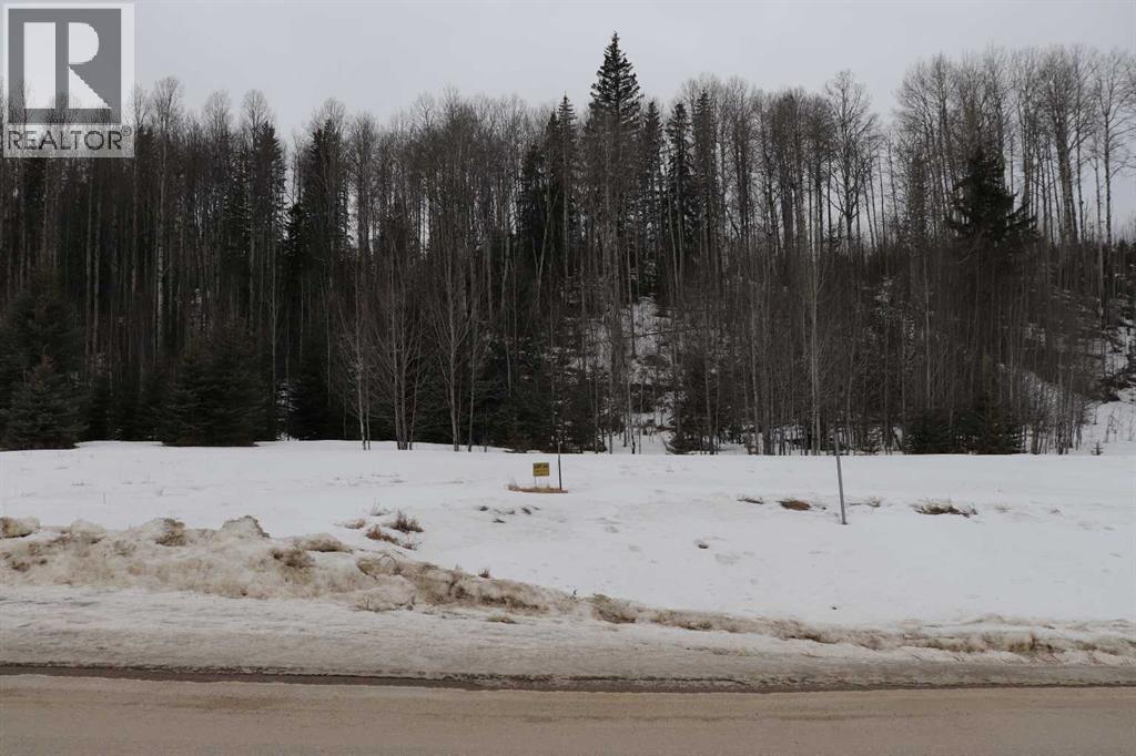 22, 16511 Township Road 532A