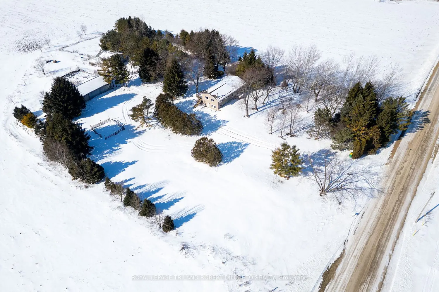 Additional image 11 of 21477 Springfield Road