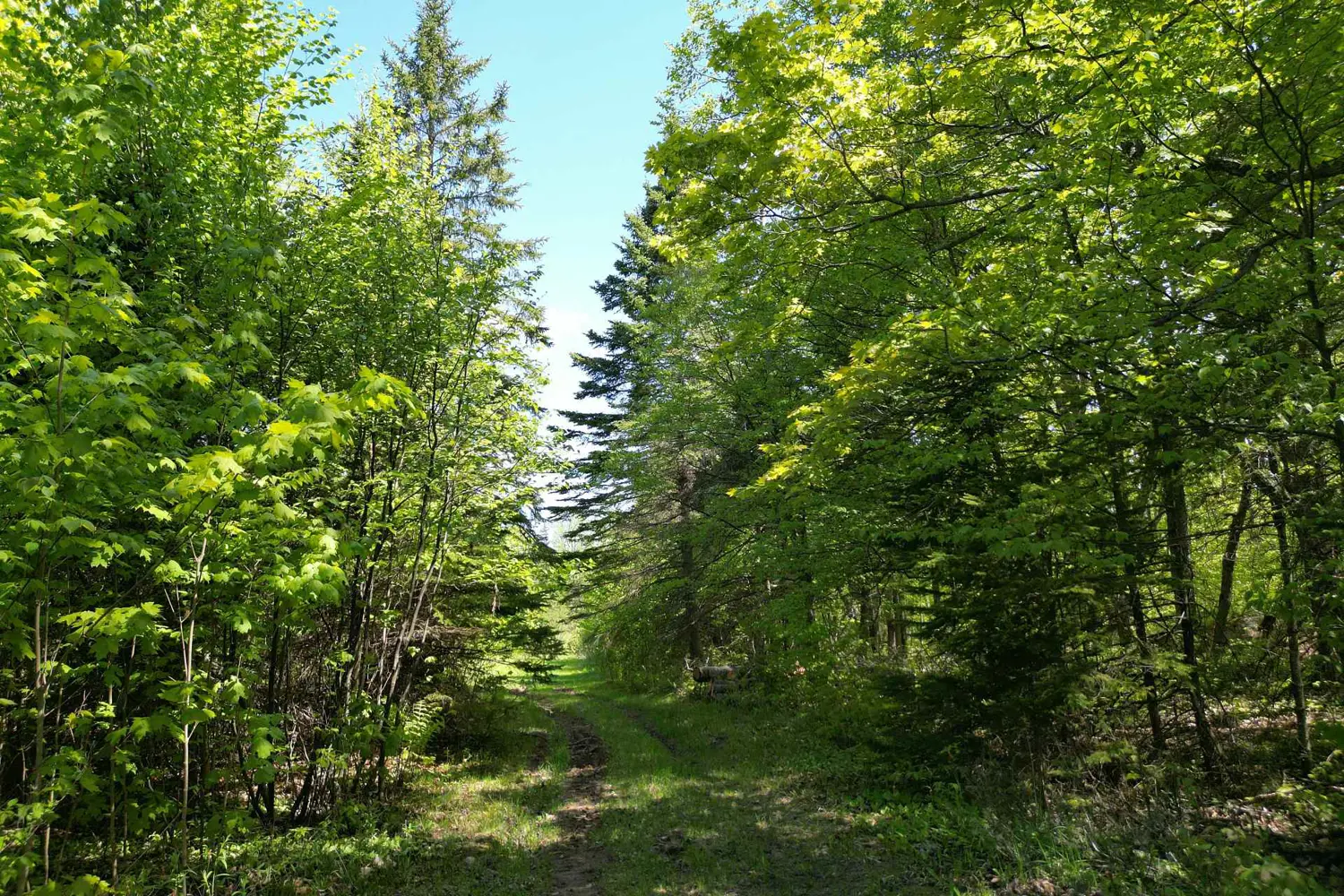 Additional image 6 of 791 Clear Lake Road, Parry Sound Remote Area