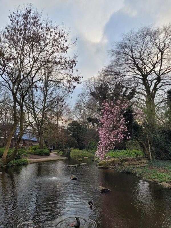 Additional image 13 of Room in a Shared Flat, Grice Court, N1, N1 7GU