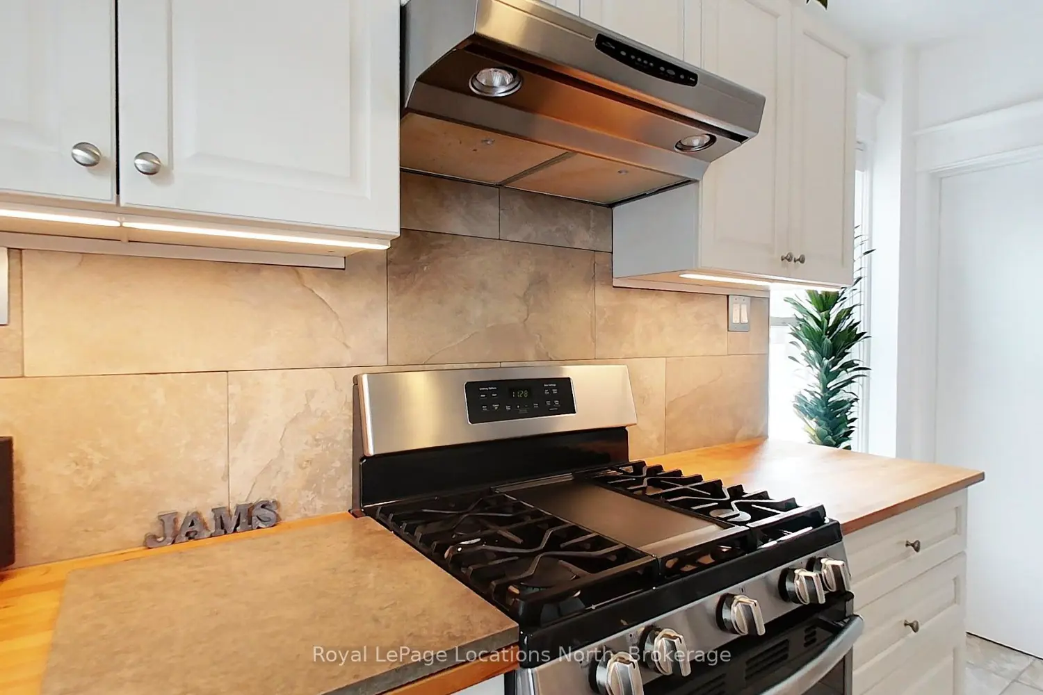 Additional image 3 of 76 Trowbridge Street