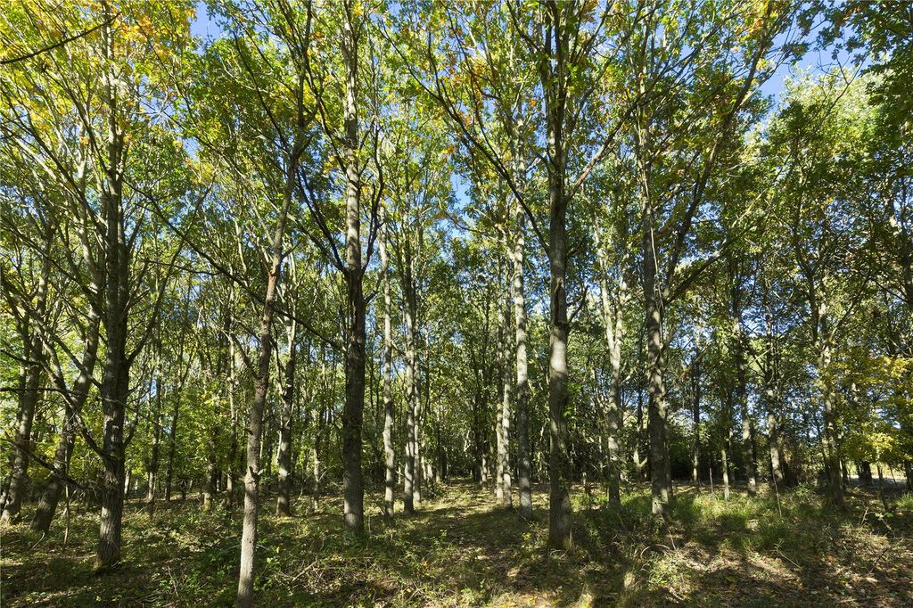Additional image 13 of Land for saleLand At Pond Park, Bannister Green, Felsted, Essex CM6