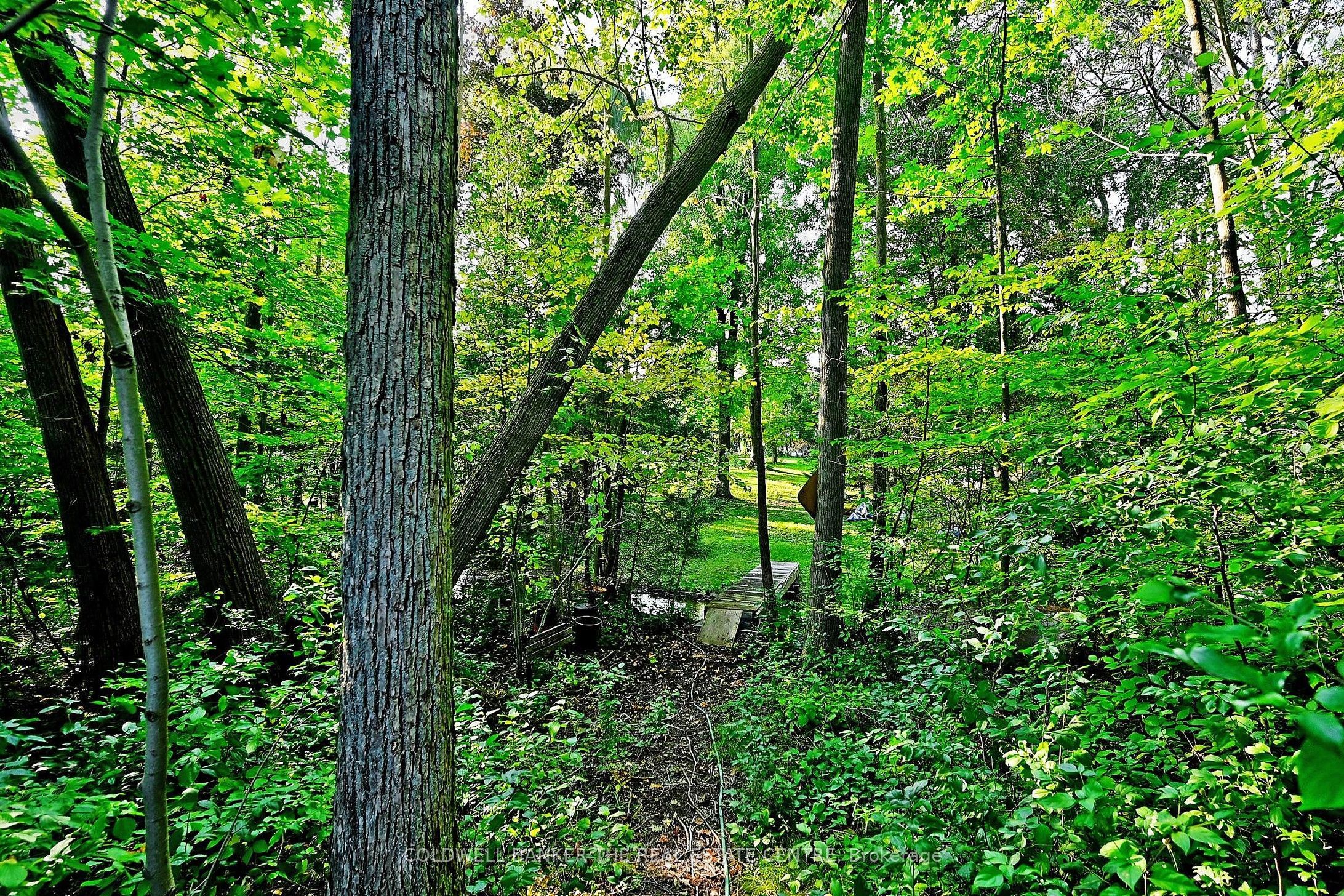 Additional image 5 of 20805 Brock Road, Brock, ON, L0E 1E0