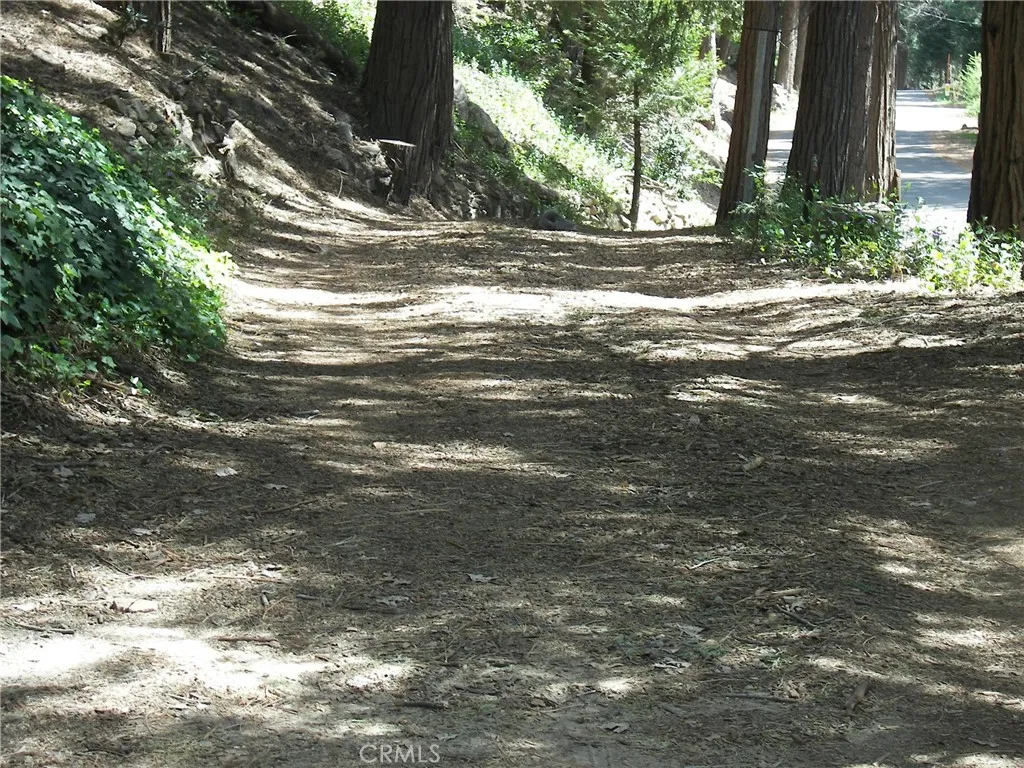 Additional image 52 of 21636 Sawpit Canyon Rd, Cedarpines Park, CA 92322