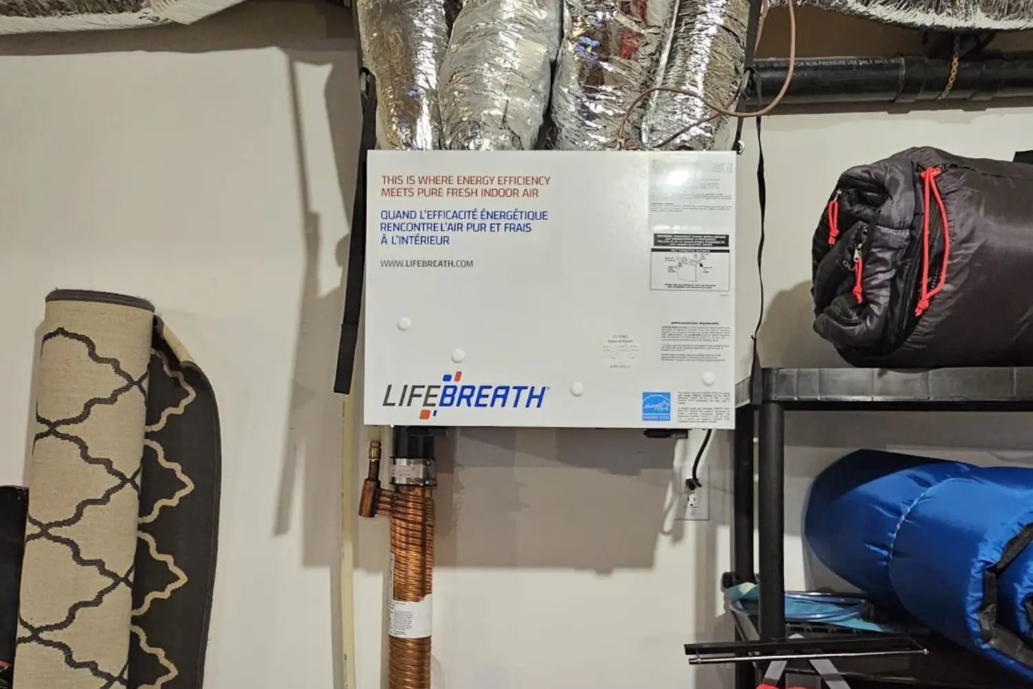 Additional image 18 of 20-297 Whiting Street