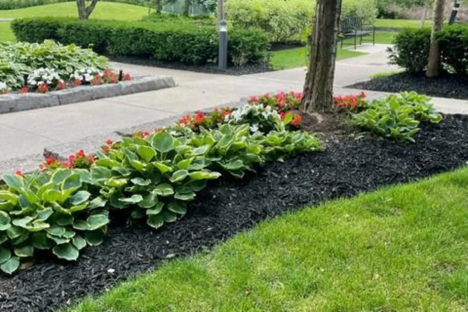 Additional image 15 of 4889 Kimbermount Avenue Ph10