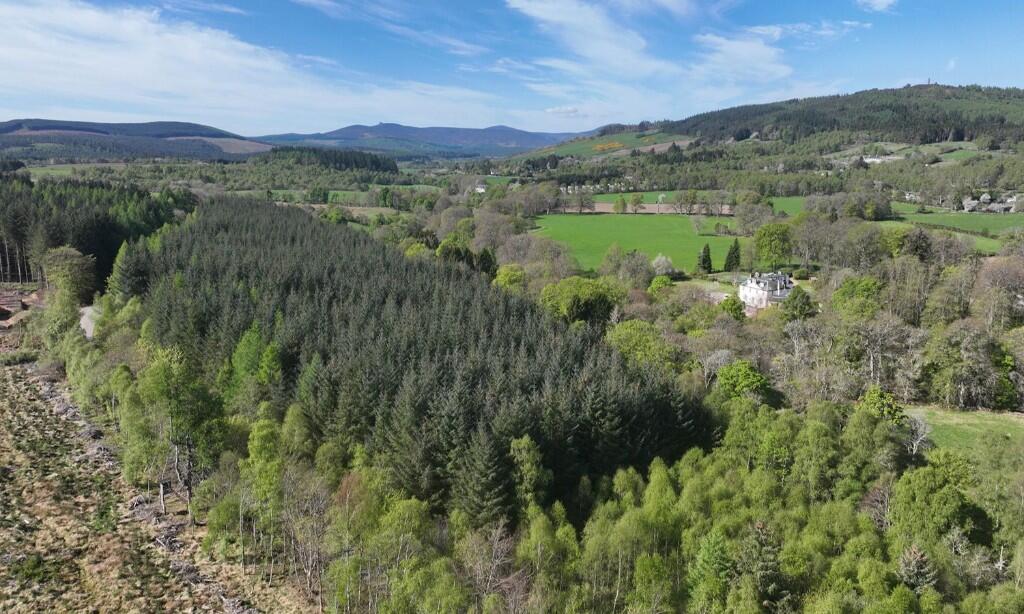 Additional image 9 of Affrusk Woodland, Banchory AB31